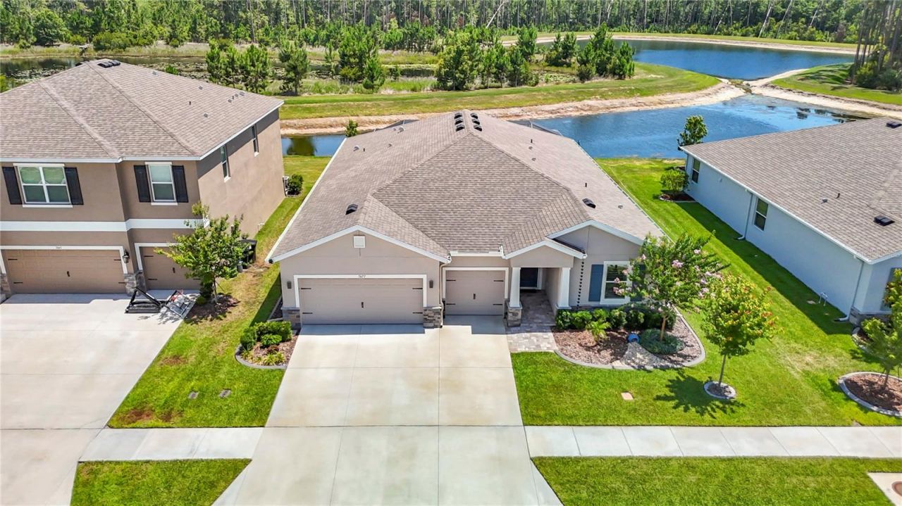 7677 Broad River Avenue, Land O Lakes, FL 34638 Photo