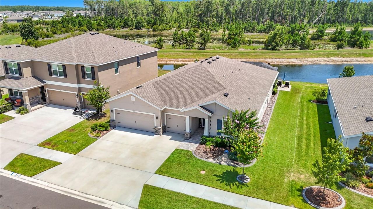 7677 Broad River Avenue, Land O Lakes, FL 34638 Photo