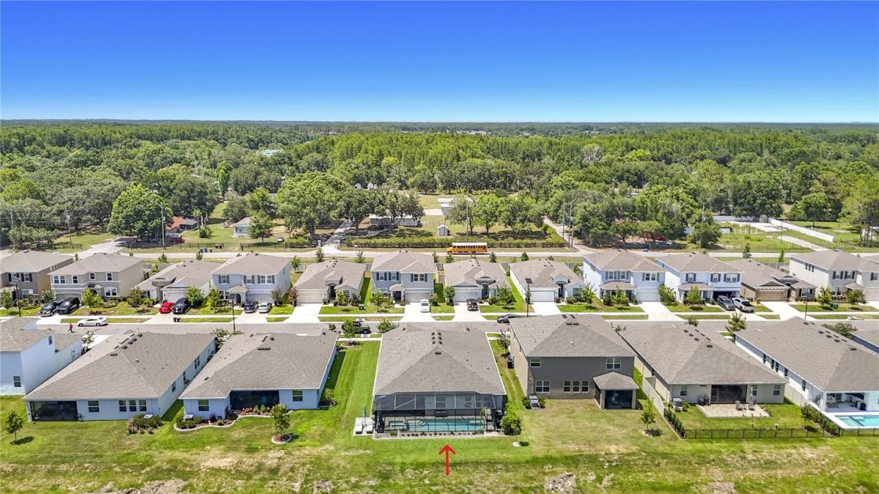 7677 Broad River Avenue, Land O Lakes, FL 34638 Photo