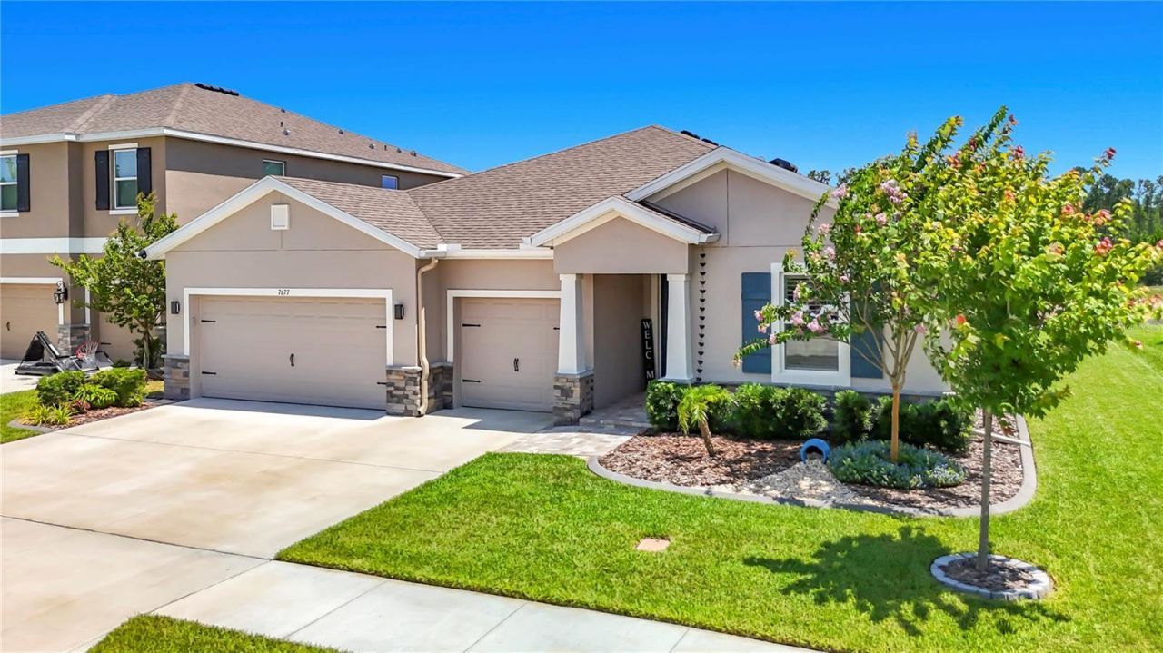 7677 Broad River Avenue, Land O Lakes, FL 34638 Photo