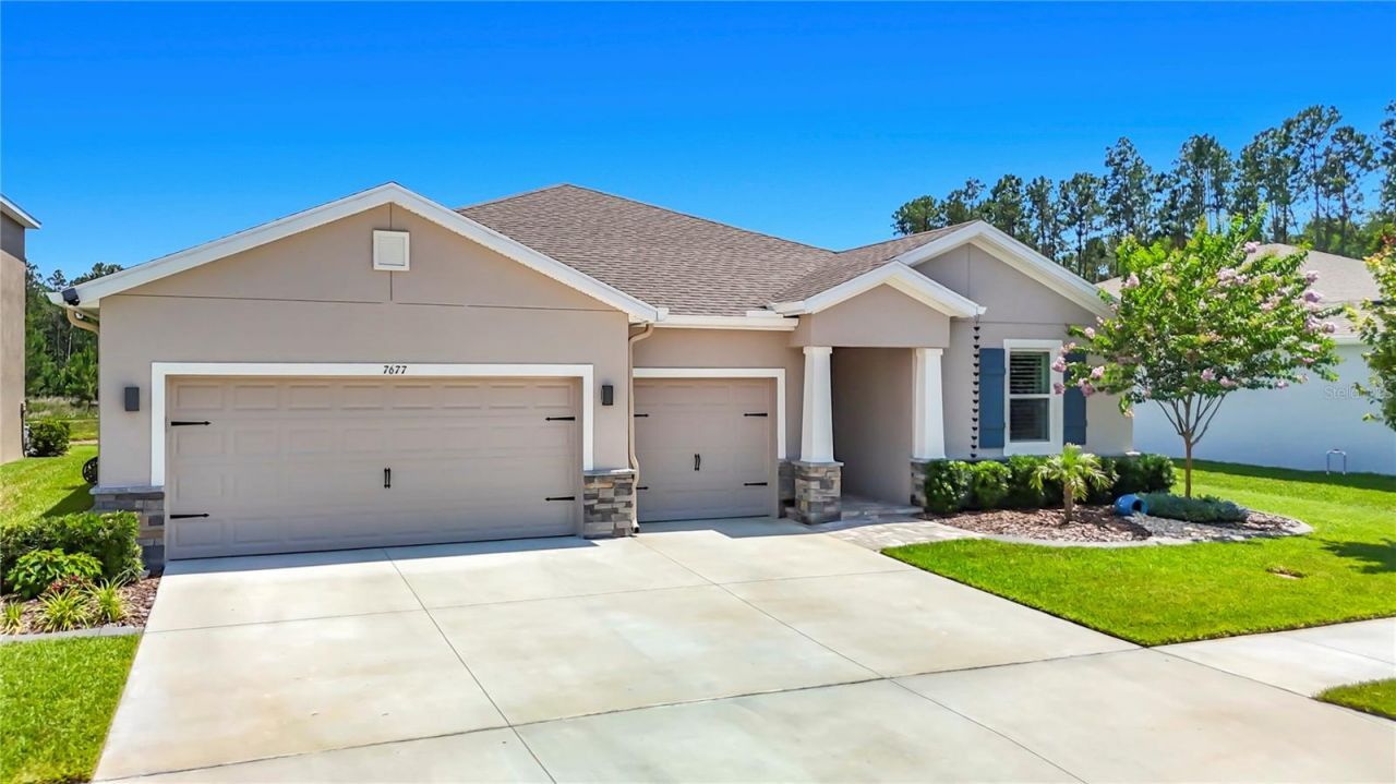 7677 Broad River Avenue, Land O Lakes, FL 34638 Photo