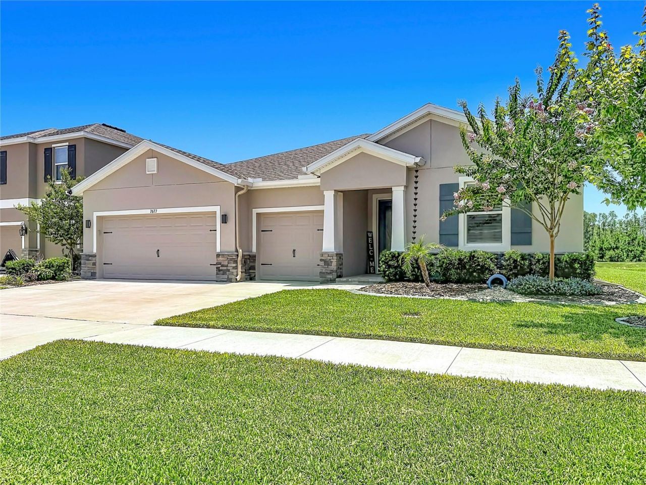 7677 Broad River Avenue, Land O Lakes, FL 34638 Photo
