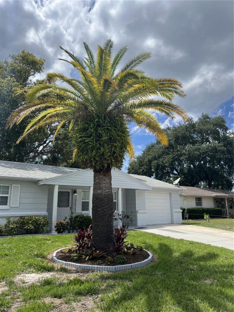 4813 Dogwood Street , New Port Richey, FL 34653 Photo