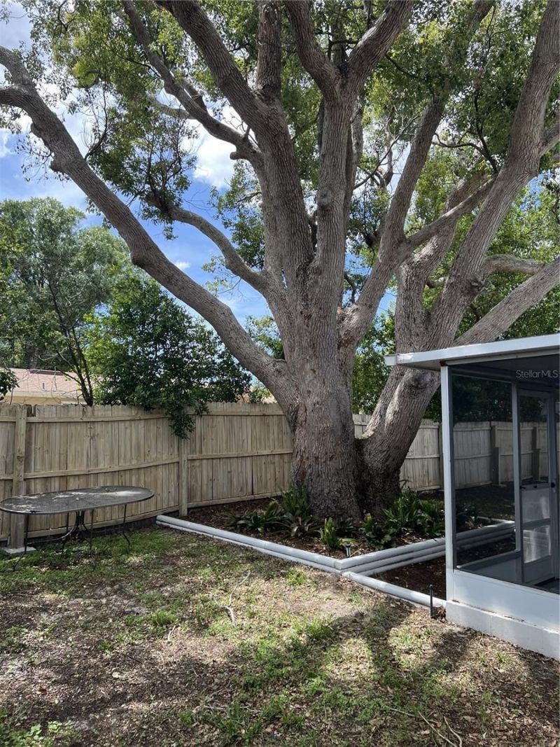 4813 Dogwood Street , New Port Richey, FL 34653 Photo