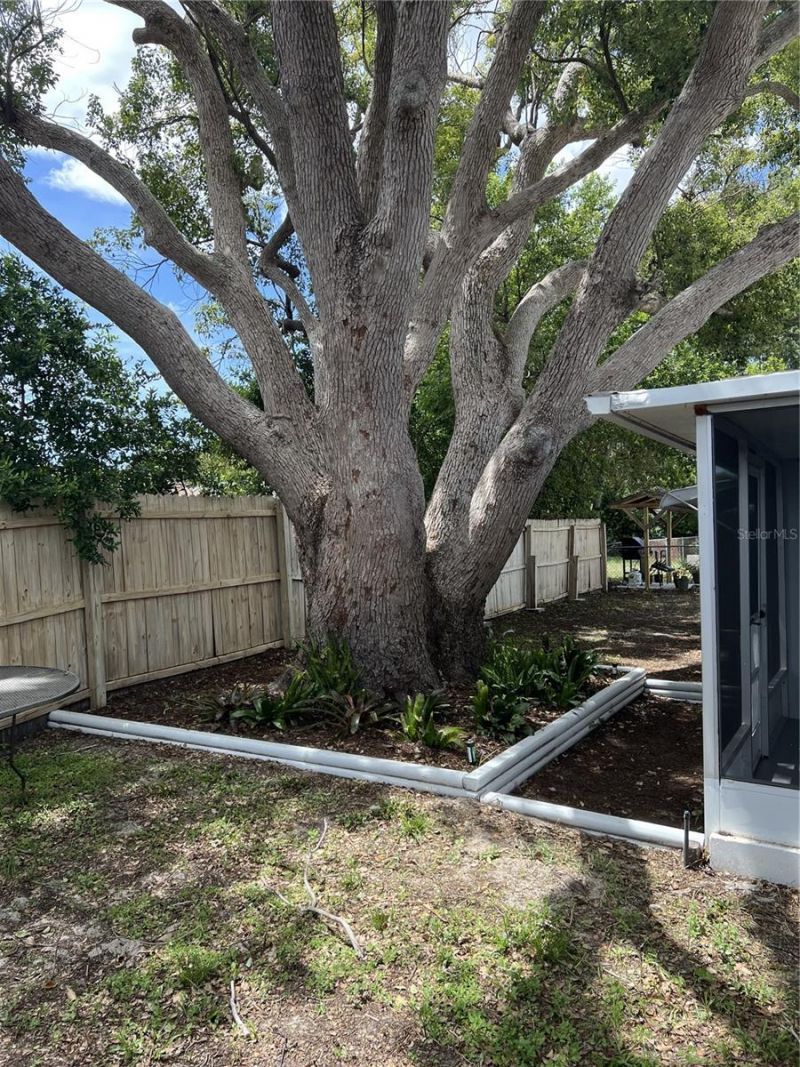 4813 Dogwood Street , New Port Richey, FL 34653 Photo