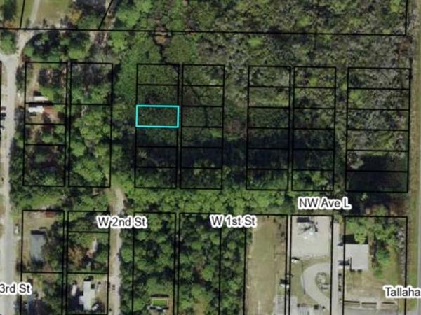1308 W 2ND STREET, CARRABELLE, FL 32322