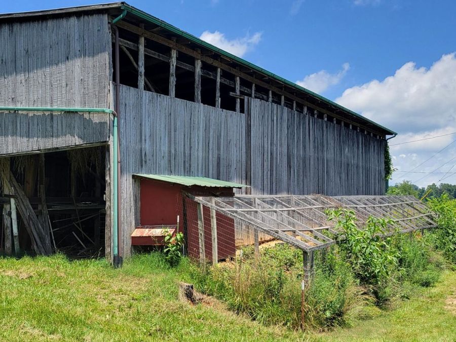 Property Image 6