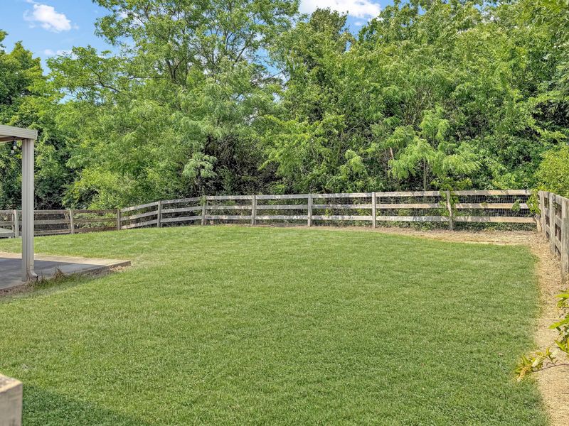 3265 Summitrun Drive, Independence, KY 41051 Photo 16