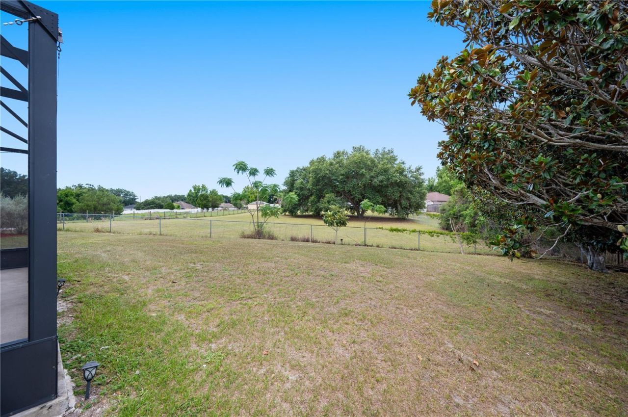11724 Constance Way, Clermont, FL 34711 Photo