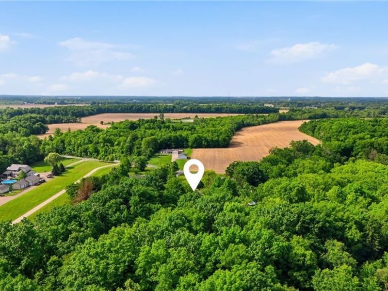 11747 Spencer Mills Road, Spencer, OH 44275 Photo 39