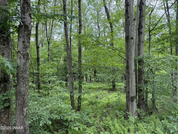 Beaver Hollow Road , Lakewood, PA 18439