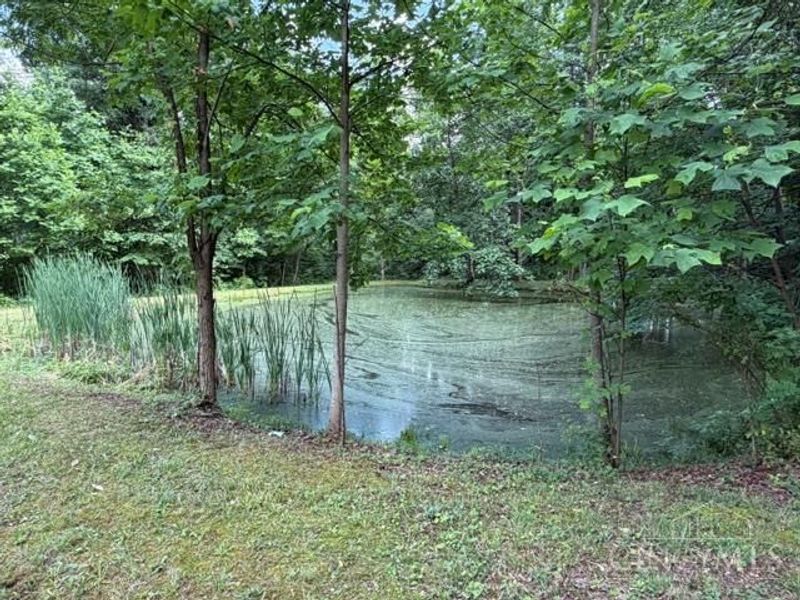 2133 Davis Road, Bainbridge, OH 45612 Photo 16