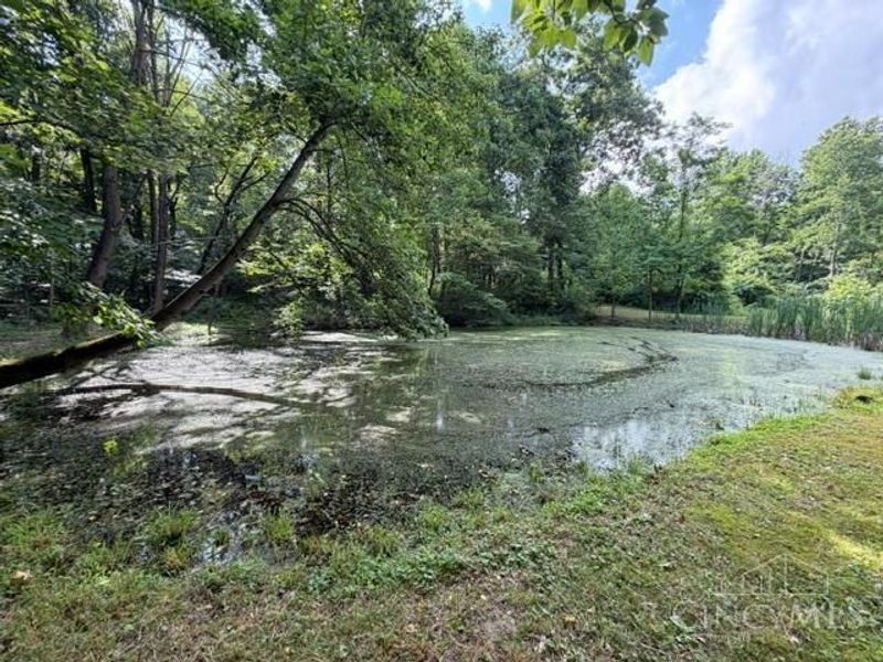2133 Davis Road, Bainbridge, OH 45612 Photo 18
