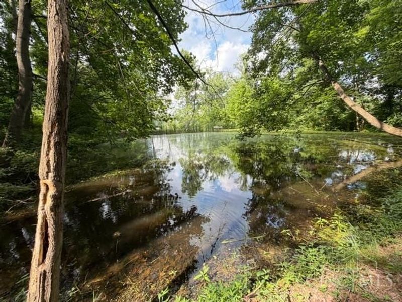 2133 Davis Road, Bainbridge, OH 45612 Photo 19