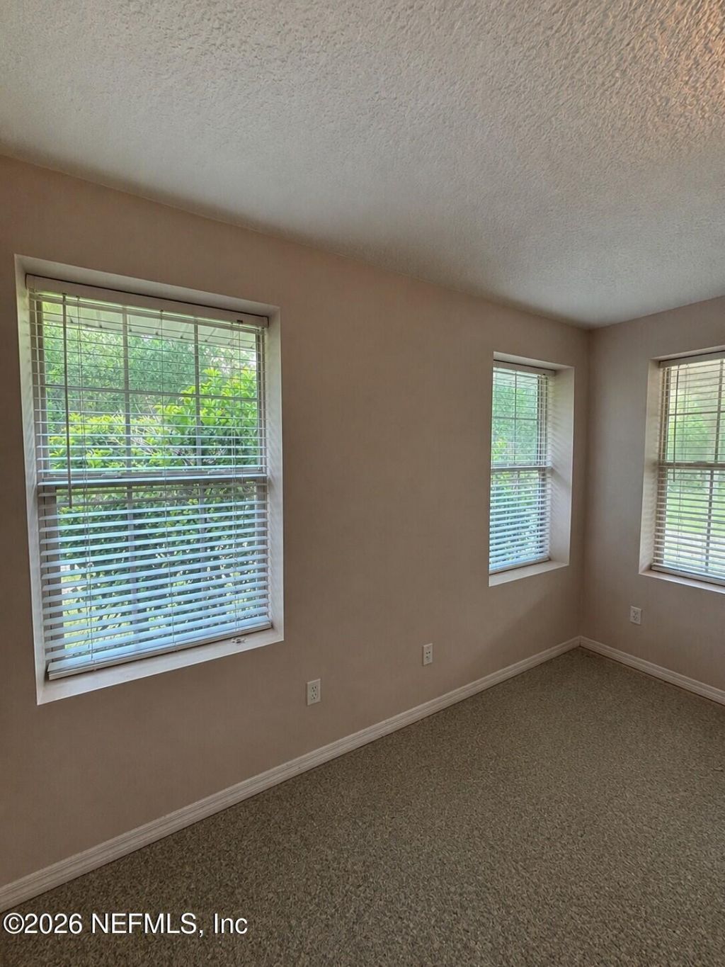 25 Currant Avenue, Middleburg, FL 32068 Photo