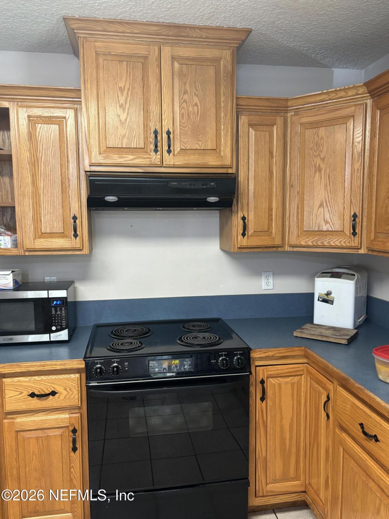 25 Currant Avenue, Middleburg, FL 32068 Photo