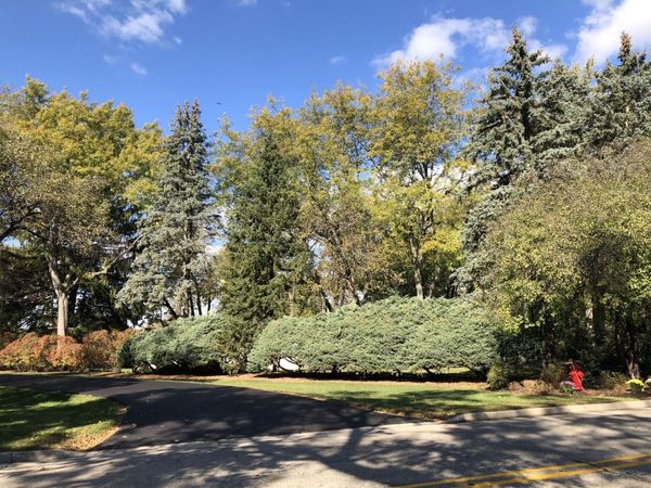 320-380 Highland Avenue, Algonquin, IL 60102