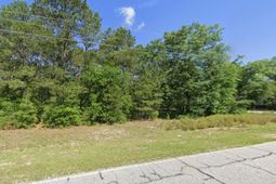 403 Gantt Street  photo 4