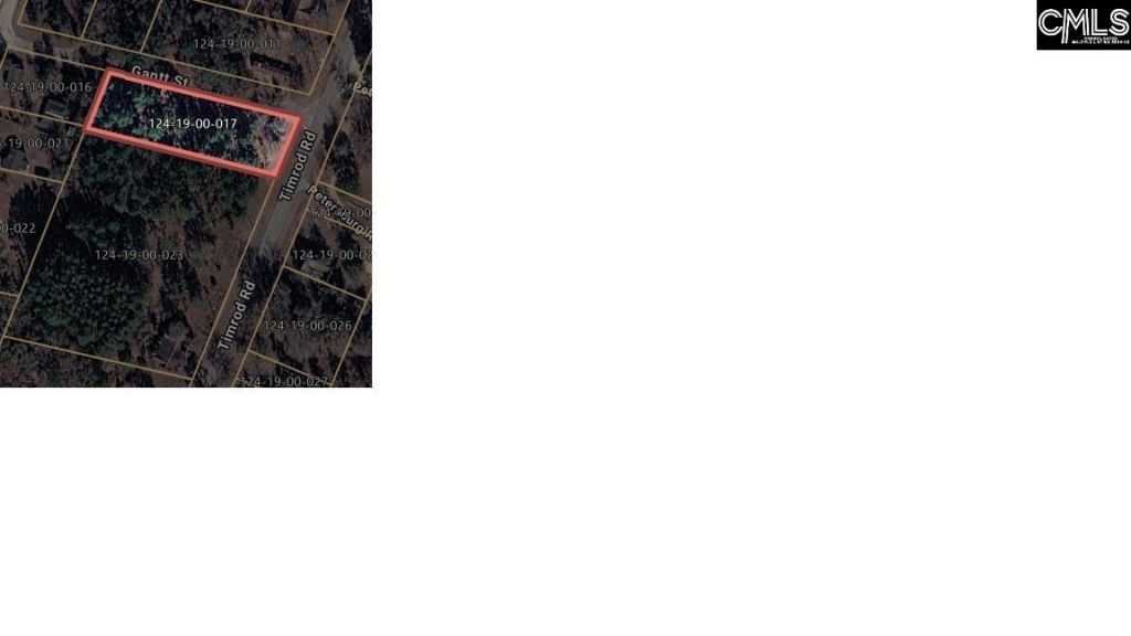 403 Gantt Street  Photo 4