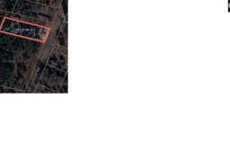 403 Gantt Street  photo 4
