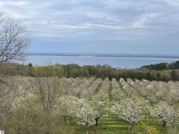 12586 Center Drive, Traverse City, MI 49686