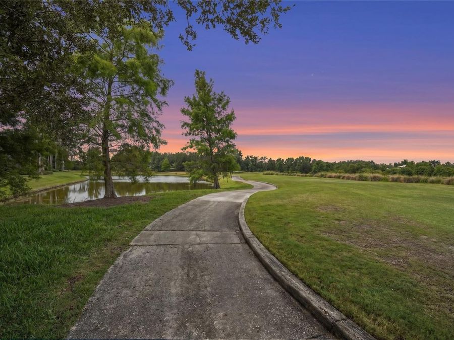Property Image 65