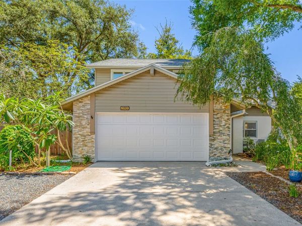 23907 LAKE BARK COURT , LUTZ, FL 33559