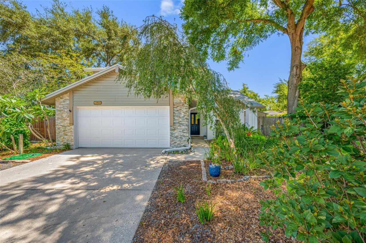 23907 Lake Bark Court , Lutz, FL 33559 Photo