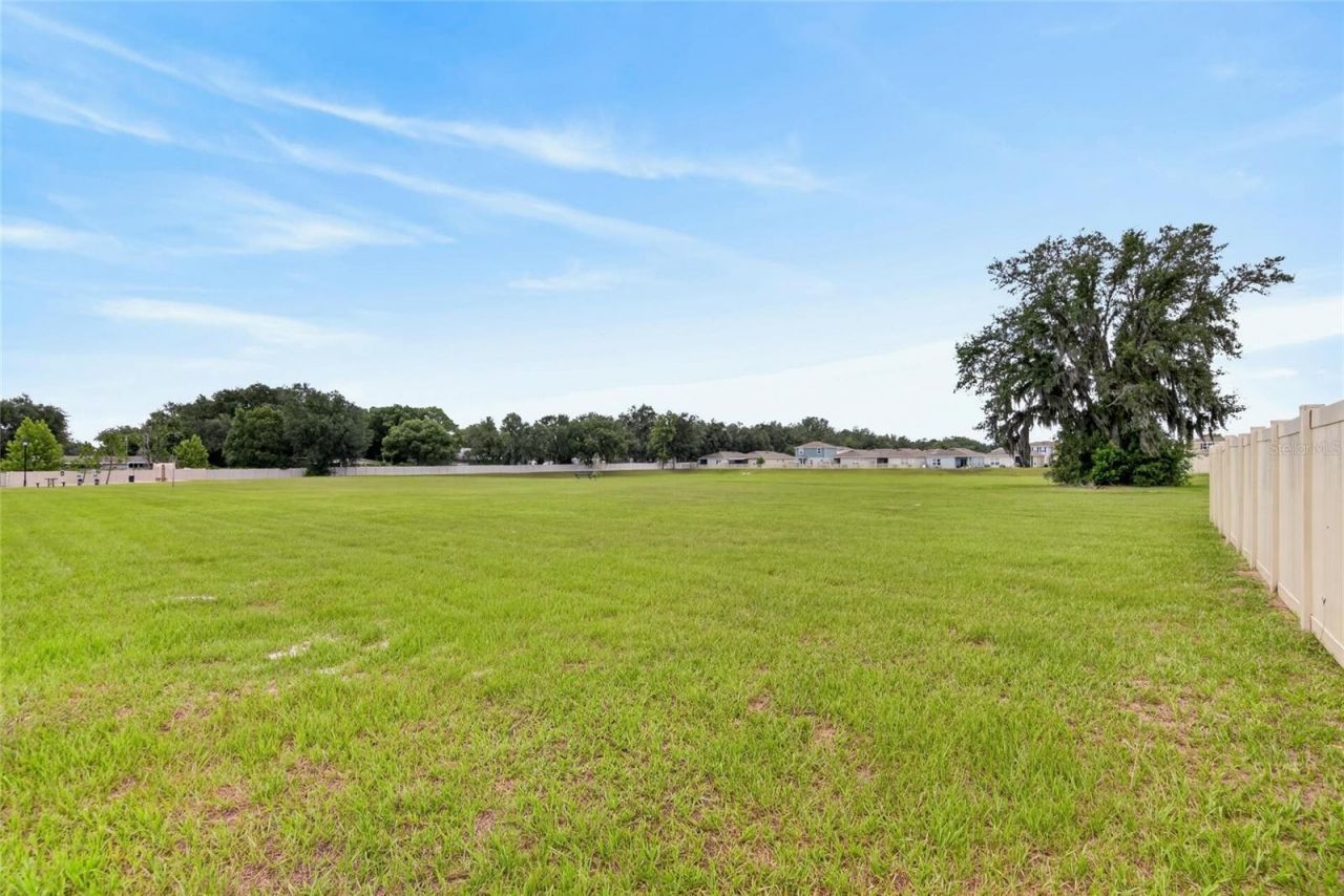 3706 Zephyr Preserve Place , Zephyrhills, FL 33541 Photo