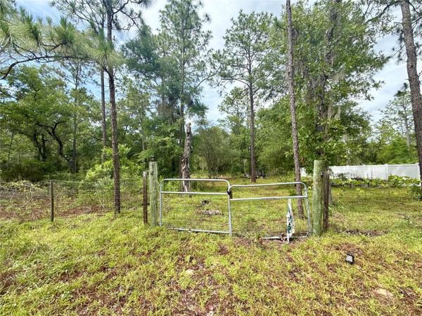 TBD NE 3RD PLACE , WILLISTON, FL 32696