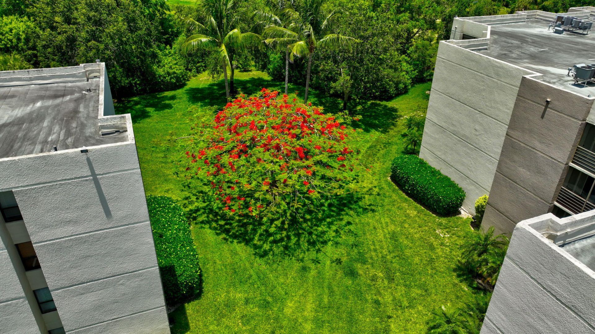 5750 Camino Del Sol, Unit 201, Boca Raton, FL 33433 Photo
