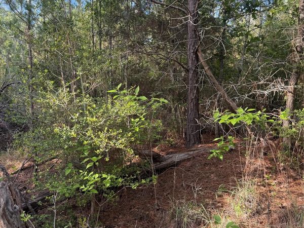 Lot 1384 Pahihi DR, Bastrop, TX 78602