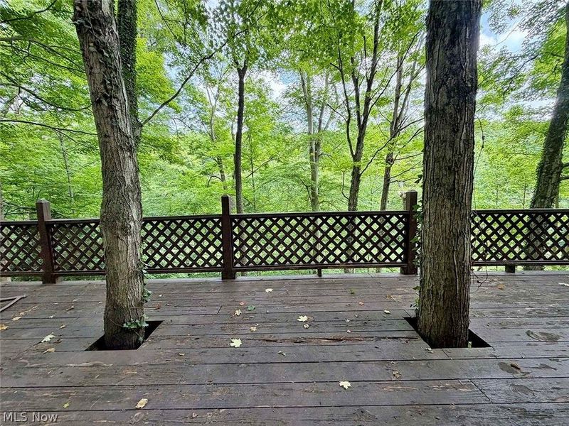 7248 Hollow Street SW, Carrollton, OH 44615 Photo 18
