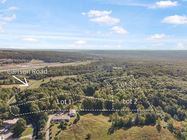 Carlson Road, Frankfort, MI 49635