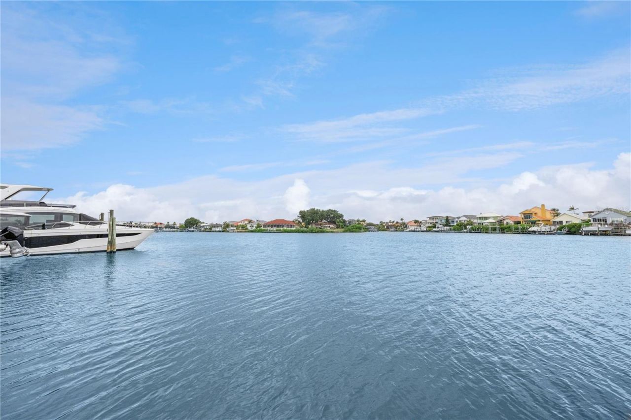 807 Chipaway Drive, Apollo Beach, FL 33572 Photo
