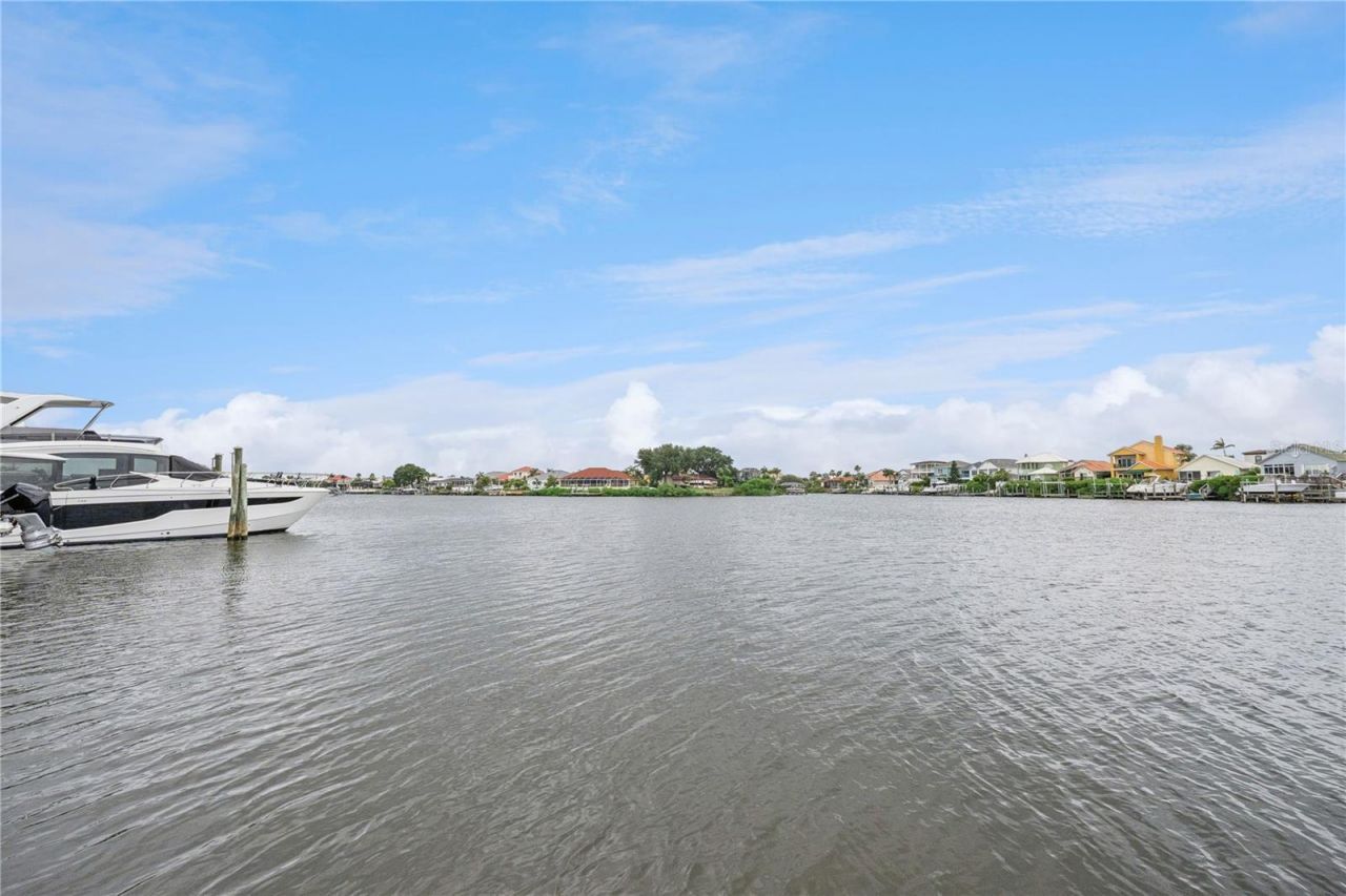 807 Chipaway Drive, Apollo Beach, FL 33572 Photo