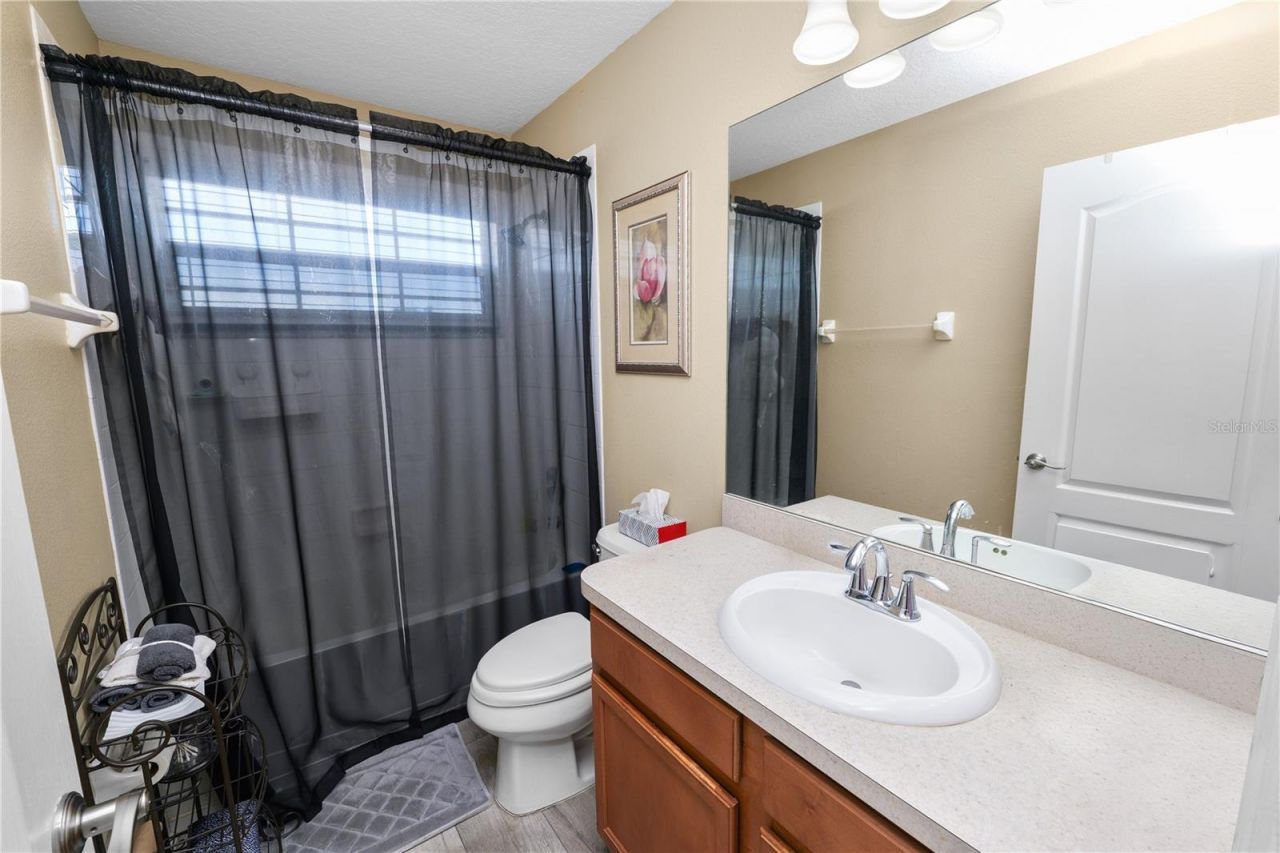 4769 Hickory Stream Lane , Mulberry, FL 33860 Photo