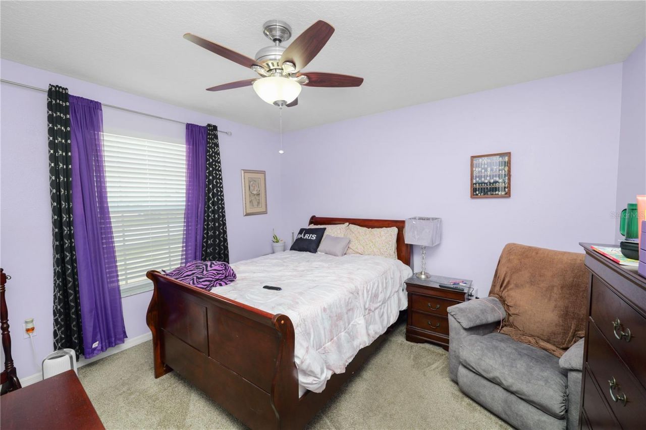 4769 Hickory Stream Lane , Mulberry, FL 33860 Photo