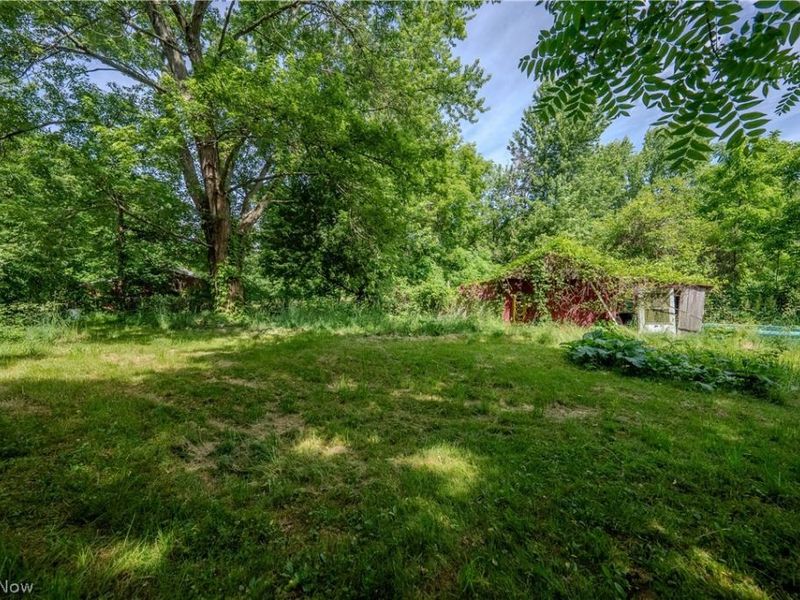 35176 Chestnut Ridge Road, North Ridgeville, OH 44039 Photo 13