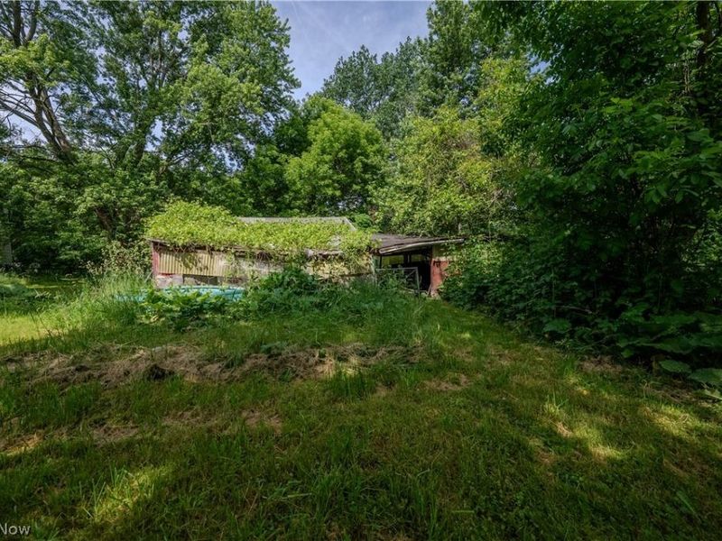 35176 Chestnut Ridge Road, North Ridgeville, OH 44039 Photo 14