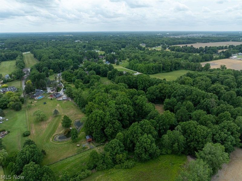35176 Chestnut Ridge Road, North Ridgeville, OH 44039 Photo 8