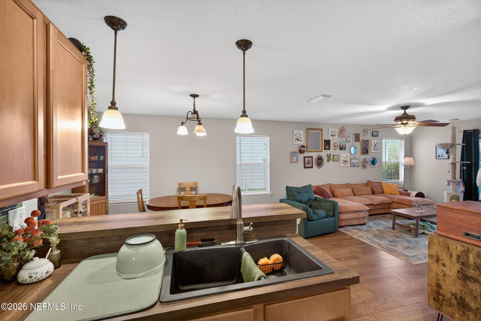 717 Celebration Lane, Middleburg, FL 32068 Photo