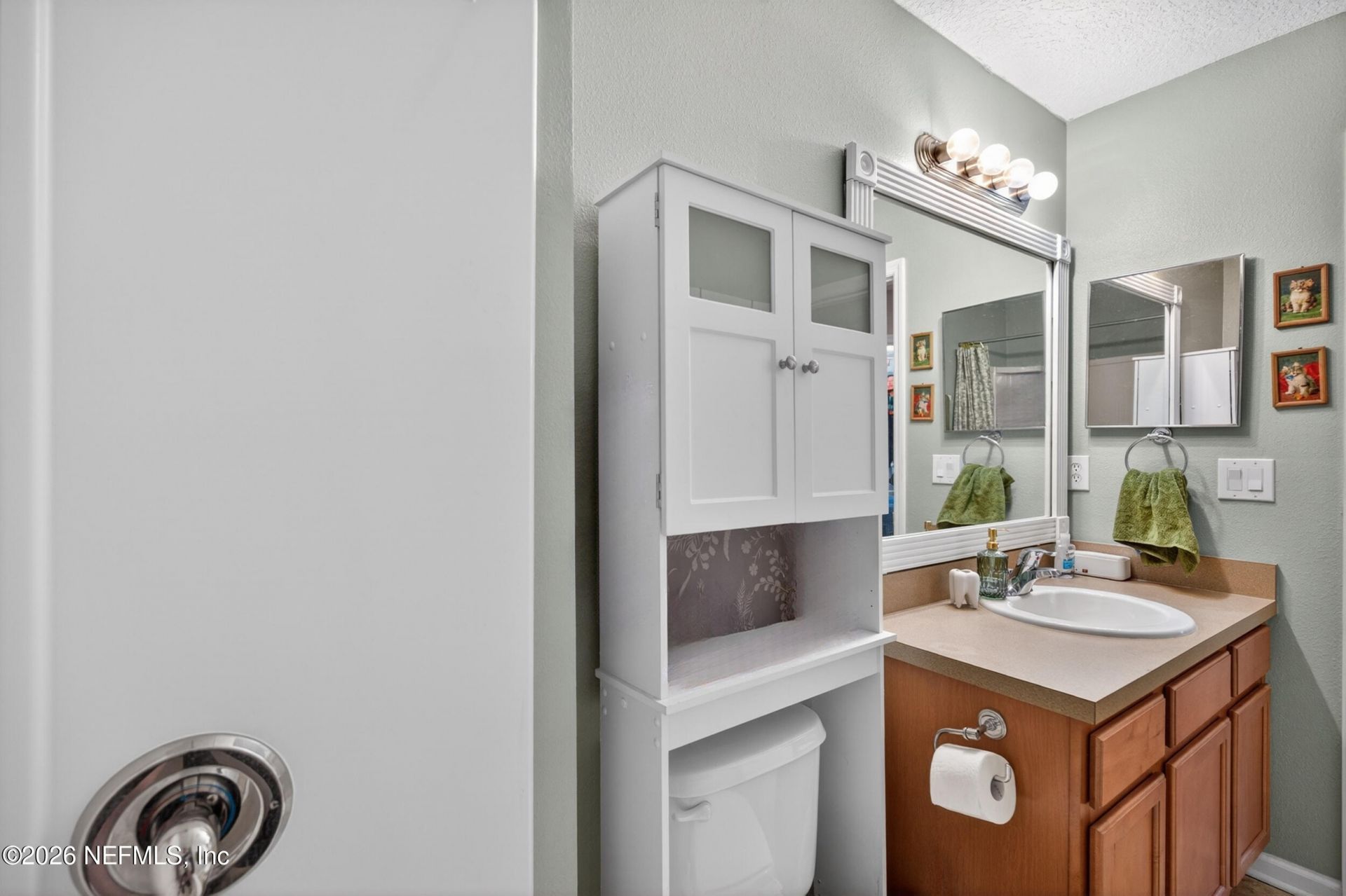 717 Celebration Lane, Middleburg, FL 32068 Photo