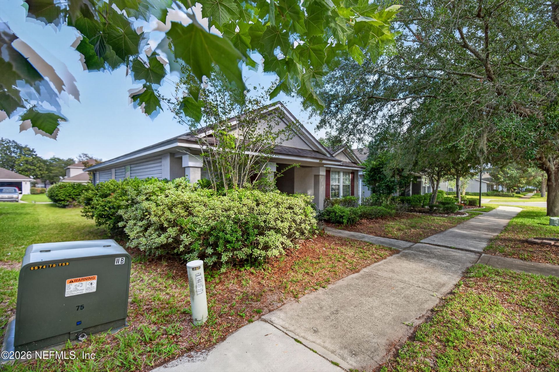 717 Celebration Lane, Middleburg, FL 32068 Photo