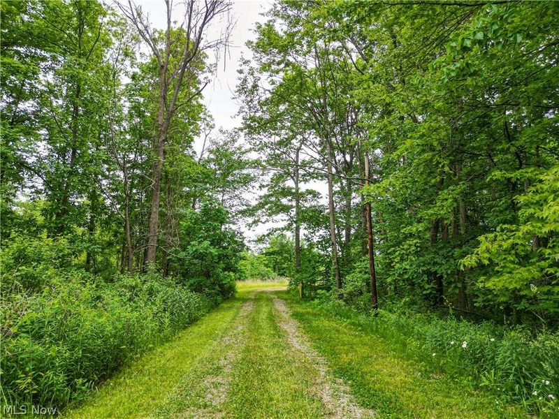1010 US Route 6, Jefferson, OH 44047 Photo 15