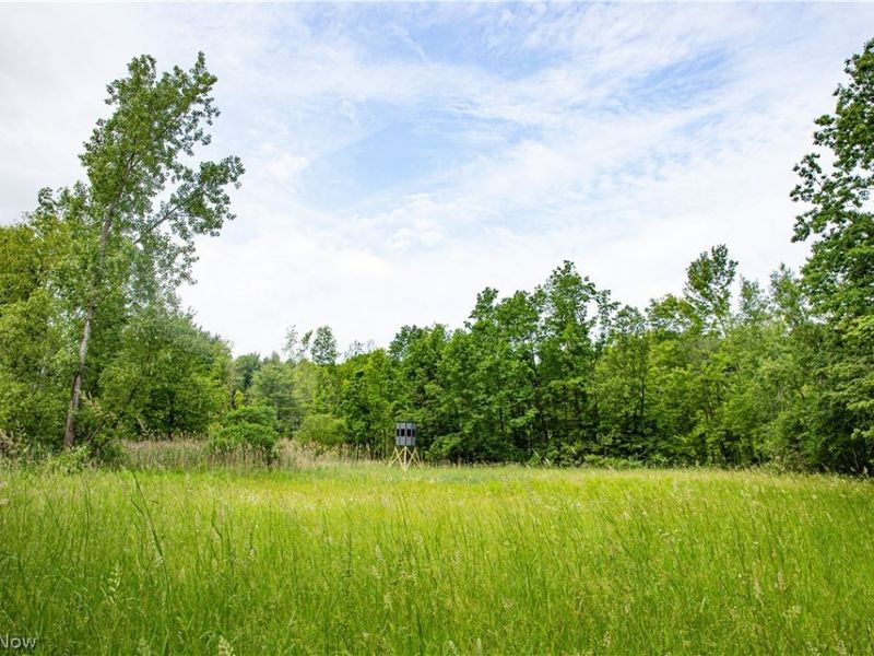 1010 US Route 6, Jefferson, OH 44047 Photo 23