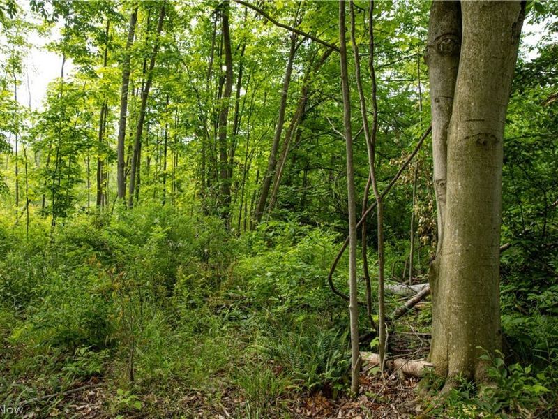 1010 US Route 6, Jefferson, OH 44047 Photo 27