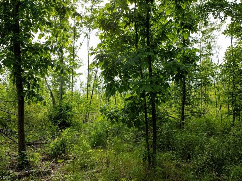 1010 US Route 6, Jefferson, OH 44047 Photo 28