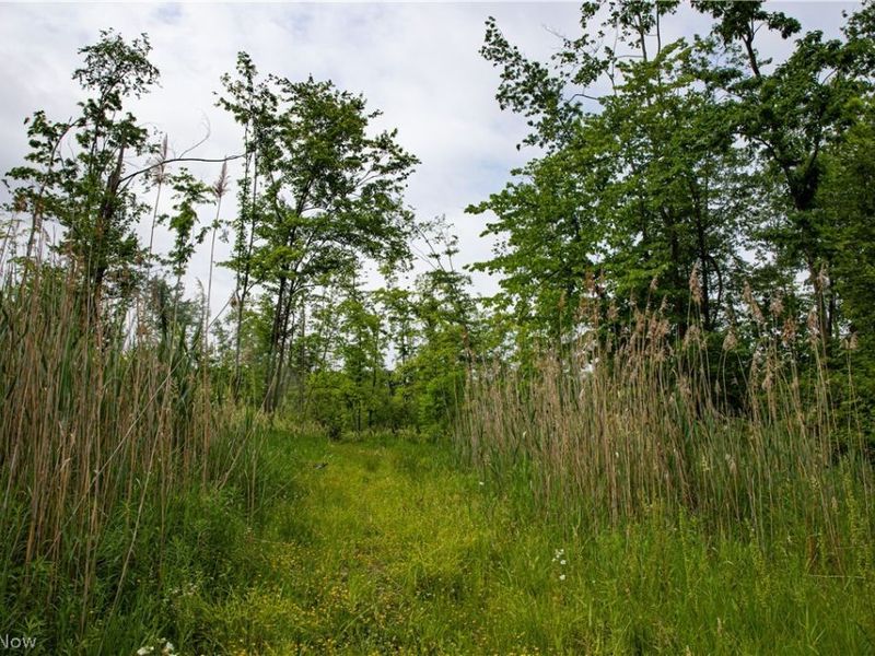 1010 US Route 6, Jefferson, OH 44047 Photo 30