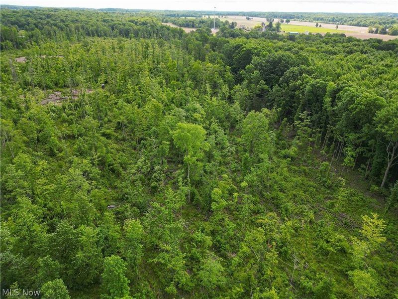 1010 US Route 6, Jefferson, OH 44047 Photo 6